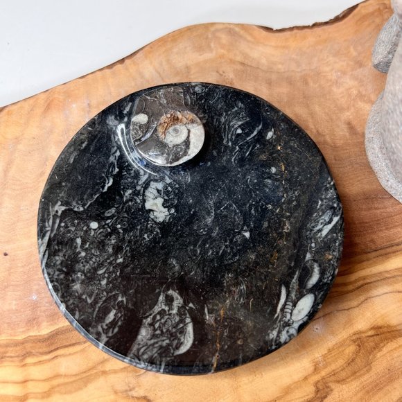 Genuine Orthoceras Fossil - Fossil Oval Ammonite Trinket dish from Morocco - Picture 6 of 11